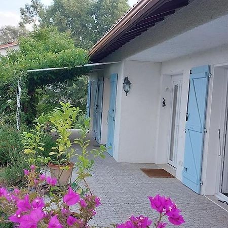 Villa De Charme Avec Piscine Saint-Jory Eksteriør billede